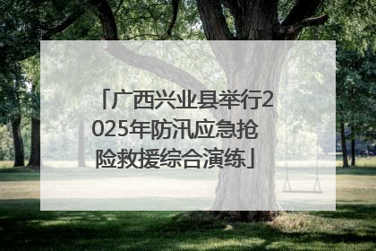 广西兴业县举行2025年防汛应急抢险救援综合演练