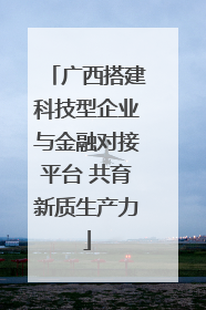 广西搭建科技型企业与金融对接平台 共育新质生产力