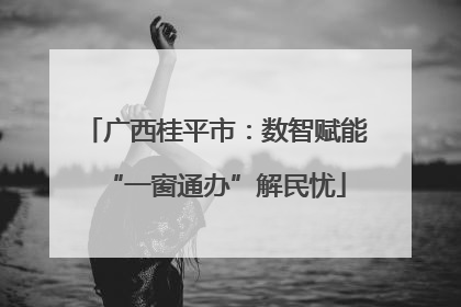 广西桂平市：数智赋能“一窗通办”解民忧