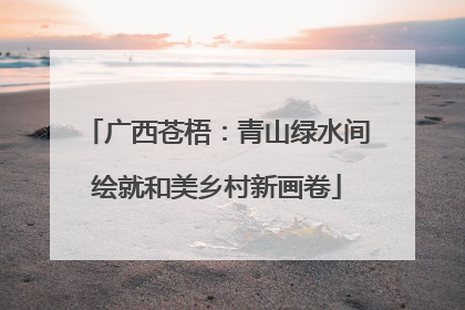 广西苍梧：青山绿水间绘就和美乡村新画卷