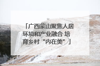 广西蒙山聚焦人居环境和产业融合 培育乡村“内在美”