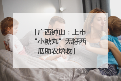 广西钟山：上市“小糖丸”无籽西瓜助农增收