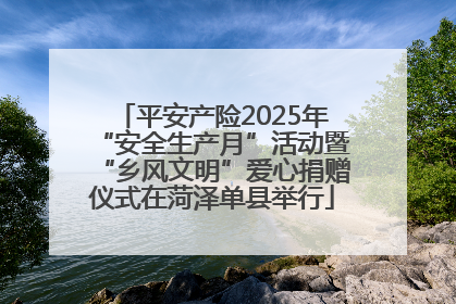 平安产险2025年“安全生产月”活动暨“乡风文明”爱心捐赠仪式在菏泽单县举行