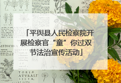 平舆县人民检察院开展检察官“童”你过双节法治宣传活动