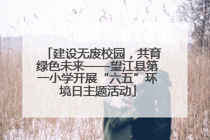 建设无废校园，共育绿色未来——望江县第一小学开展“六五”环境日主题活动