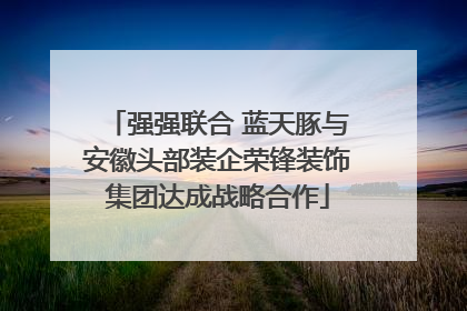 强强联合 蓝天豚与安徽头部装企荣锋装饰集团达成战略合作
