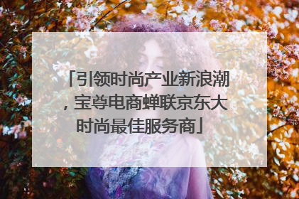 引领时尚产业新浪潮，宝尊电商蝉联京东大时尚最佳服务商