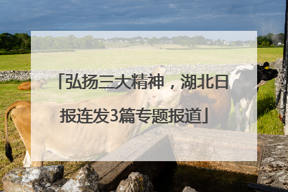 弘扬三大精神，湖北日报连发3篇专题报道