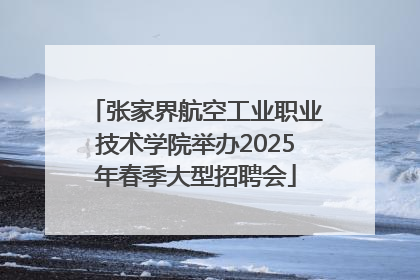 张家界航空工业职业技术学院举办2025年春季大型招聘会