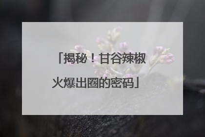 揭秘！甘谷辣椒火爆出圈的密码