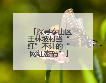 探寻泰山区王林坡村当“红”不让的“网红密码”