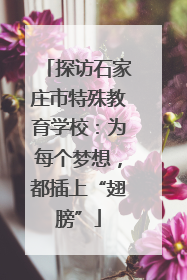 探访石家庄市特殊教育学校：为每个梦想，都插上“翅膀”