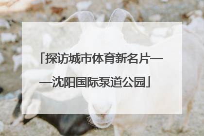 探访城市体育新名片——沈阳国际泵道公园