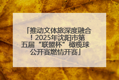 推动文体旅深度融合！2025年沈阳市第五届“联盟杯”橄榄球公开赛燃情开赛
