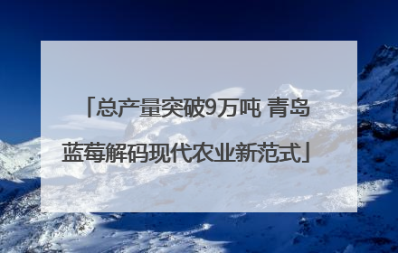 总产量突破9万吨 青岛蓝莓解码现代农业新范式