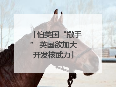 怕美国“撒手” 英国欲加大开发核武力