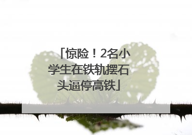 惊险！2名小学生在铁轨摆石头逼停高铁