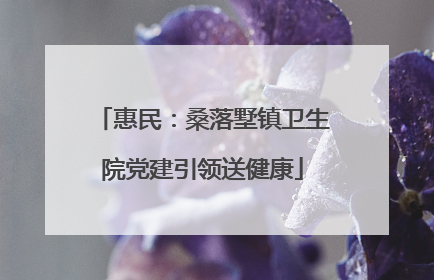 惠民：桑落墅镇卫生院党建引领送健康