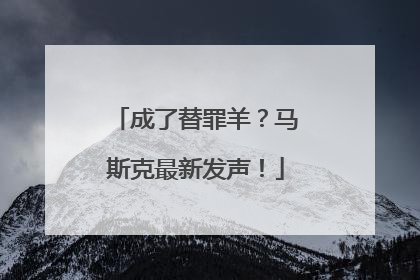 成了替罪羊?马斯克最新发声!