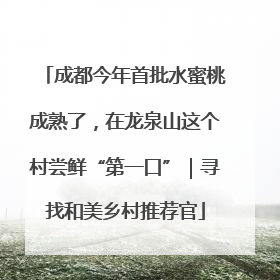成都今年首批水蜜桃成熟了，在龙泉山这个村尝鲜“第一口”｜寻找和美乡村推荐官