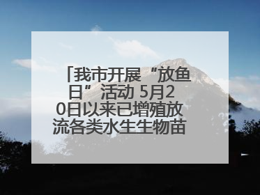 我市开展“放鱼日”活动 5月20日以来已增殖放流各类水生生物苗种5.1亿单位