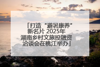 打造“避暑康养”新名片 2025年湖南乡村文旅投融资洽谈会在桃江举办