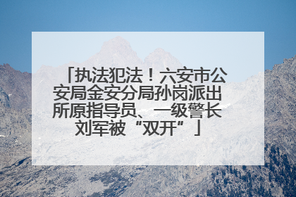 执法犯法！六安市公安局金安分局孙岗派出所原指导员、一级警长刘军被“双开”