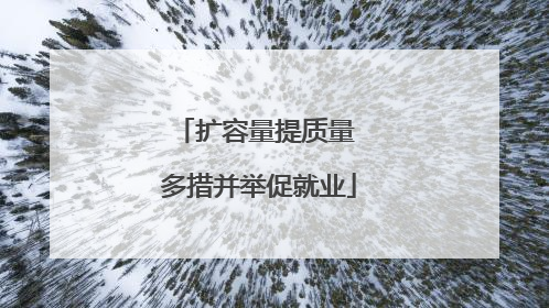扩容量提质量 多措并举促就业