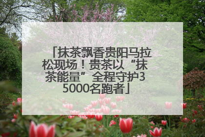 抹茶飘香贵阳马拉松现场！贵茶以“抹茶能量”全程守护35000名跑者