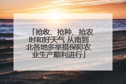 抢收、抢种、抢农时和好天气 从南到北各地多举措保障农业生产顺利进行