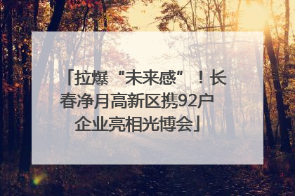 拉爆“未来感”！长春净月高新区携92户企业亮相光博会