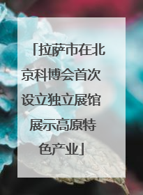 拉萨市在北京科博会首次设立独立展馆 展示高原特色产业