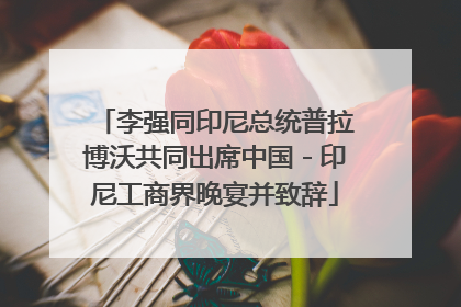 李强同印尼总统普拉博沃共同出席中国－印尼工商界晚宴并致辞