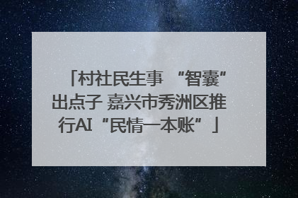 村社民生事 “智囊”出点子 嘉兴市秀洲区推行AI“民情一本账”