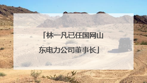 林一凡已任国网山东电力公司董事长