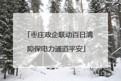 枣庄政企联动百日清障保电力通道平安