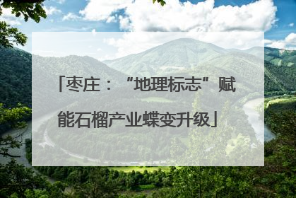 枣庄：“地理标志”赋能石榴产业蝶变升级