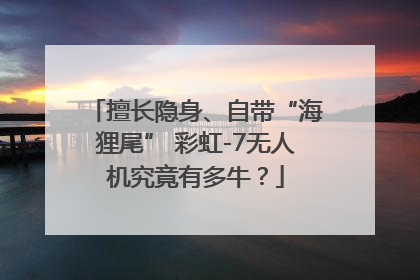 擅长隐身、自带“海狸尾” 彩虹-7无人机究竟有多牛？