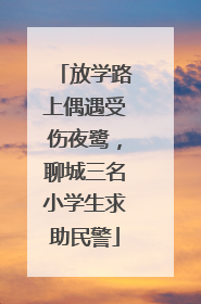 放学路上偶遇受伤夜鹭，聊城三名小学生求助民警