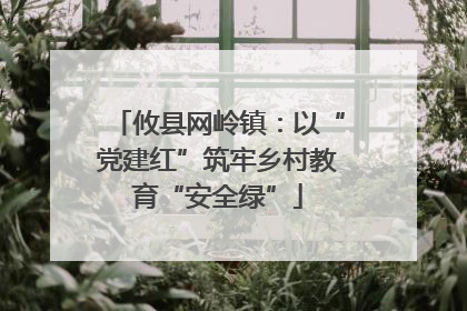 攸县网岭镇：以“党建红”筑牢乡村教育“安全绿”