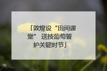 敦煌设“田间课堂” 送技葡萄管护关键时节