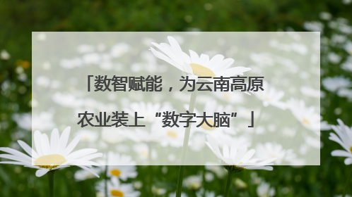 数智赋能，为云南高原农业装上“数字大脑”