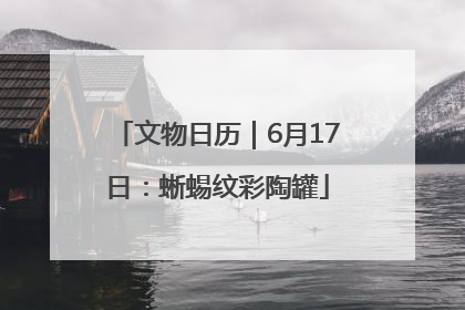 文物日历｜6月17日：蜥蜴纹彩陶罐