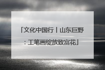 文化中国行丨山东巨野：工笔画绽放致富花