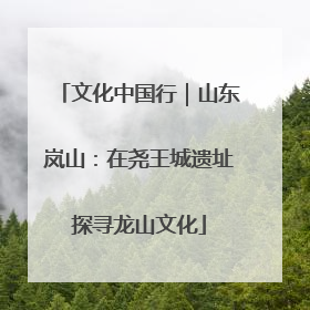 文化中国行｜山东岚山：在尧王城遗址探寻龙山文化