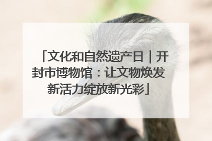 文化和自然遗产日｜开封市博物馆：让文物焕发新活力绽放新光彩