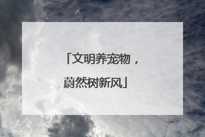 文明养宠物，蔚然树新风