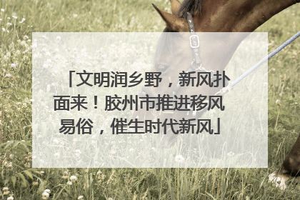 文明润乡野，新风扑面来！胶州市推进移风易俗，催生时代新风