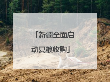 新疆全面启动夏粮收购