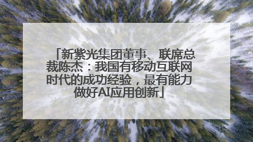 新紫光集团董事、联席总裁陈杰：我国有移动互联网时代的成功经验，最有能力做好AI应用创新